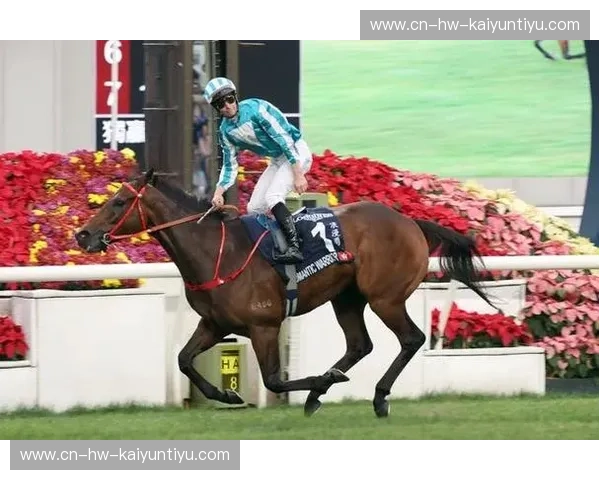 排名赛马：让激情与智慧同台竞技的全新玩法